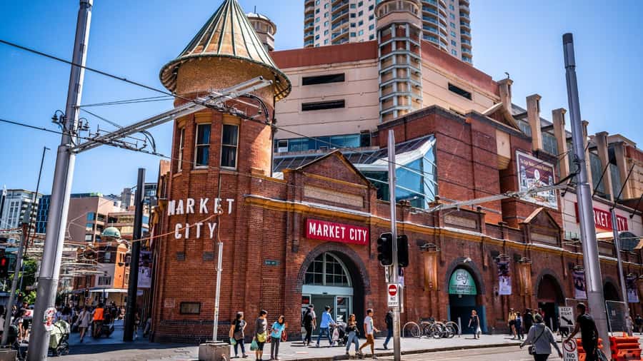 Sydney Private & Custom Walking Experience with a Local - Starting at the Cenotaph and setting the plan