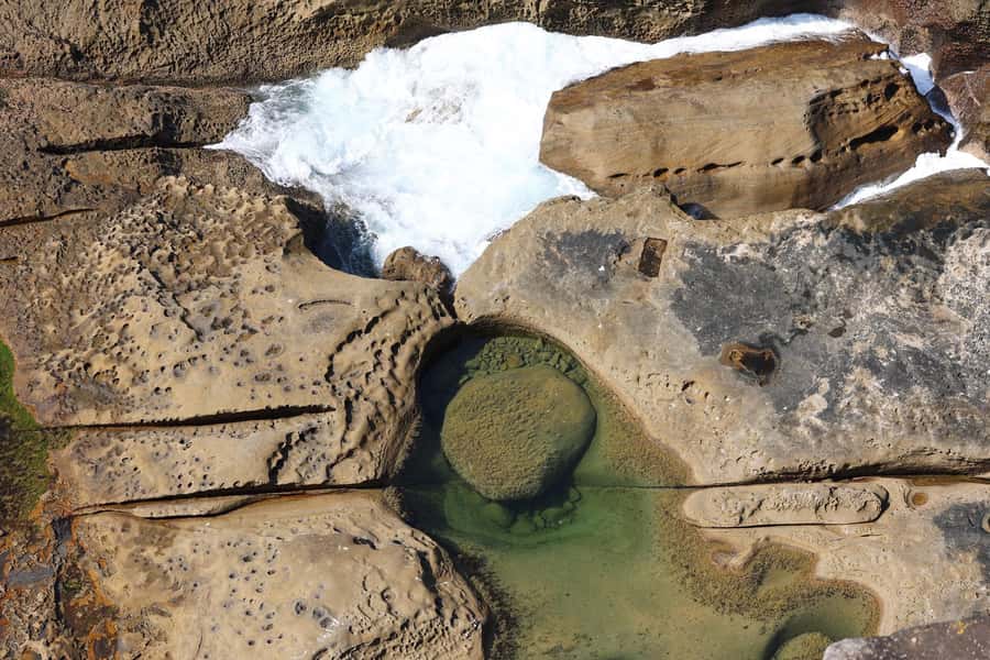 Sydney: Royal National Park private day tour - Optional wildlife at Symbio Wildlife Park