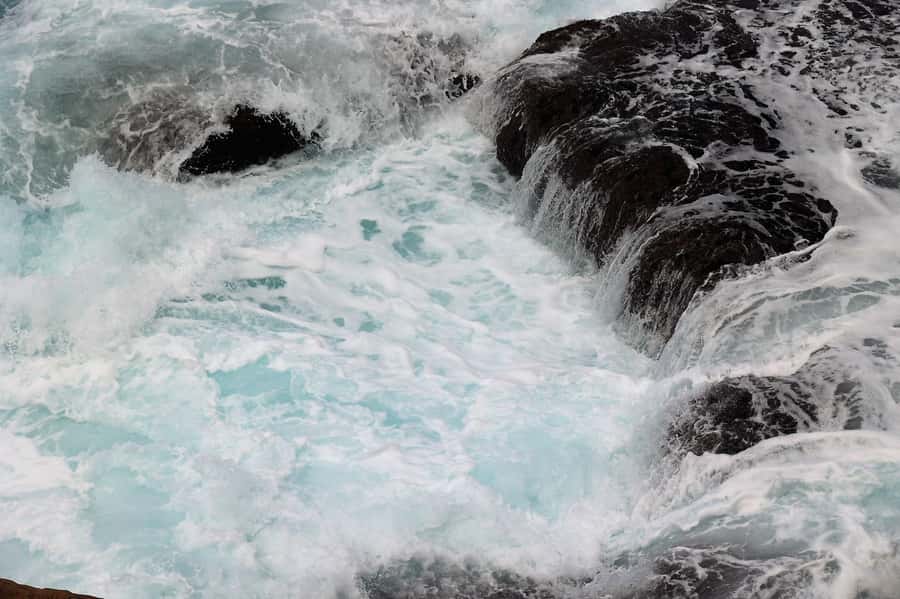 Sydney: Royal National Park private day tour - Plants, birds, and the feel of the bush