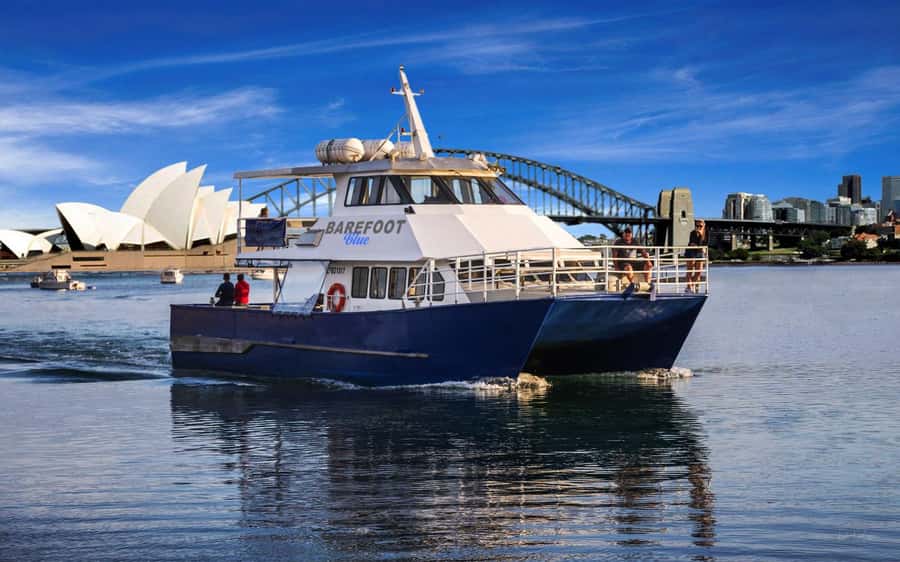 Sydney: Scenic Whale Watching Cruise - Whales Guaranteed - Who should book this cruise?
