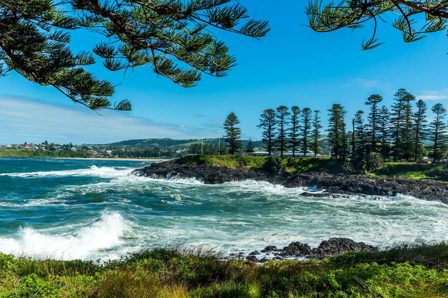 Sydney: Sea Cliff Bridge, Kiama Blowhole and Farmlands Tour - Beaches, remote viewpoints and coastal walks