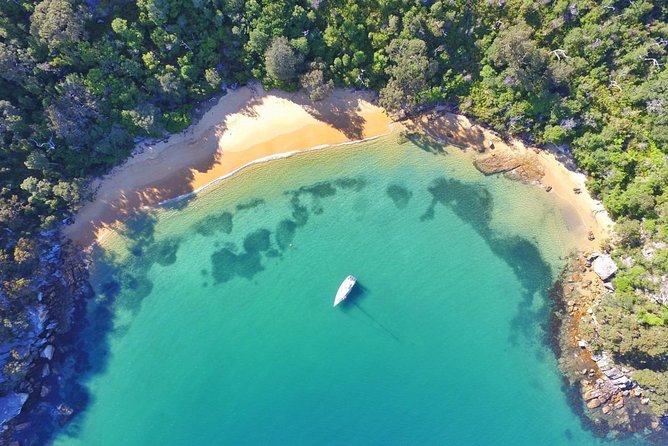 Sydney Secrets Lunch Cruise - Key points at a glance