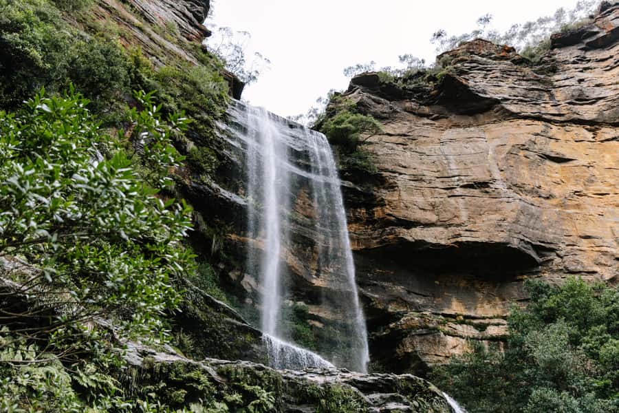Sydney: Small Group Blue Mountains, Wildlife & Waterfalls - Why this Blue Mountains day trip works