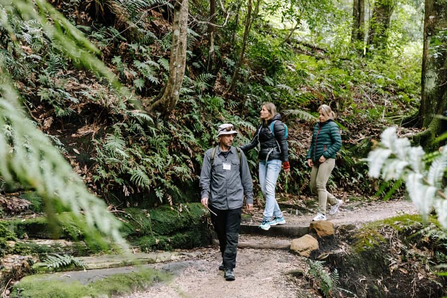 Sydney: Small Group Blue Mountains, Wildlife & Waterfalls - Featherdale Wildlife Park: a strong first stop