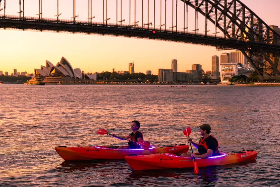 Sydney: Sunrise Kayak, Opera House & Under Harbour Bridge - A dawn start at Milson Park