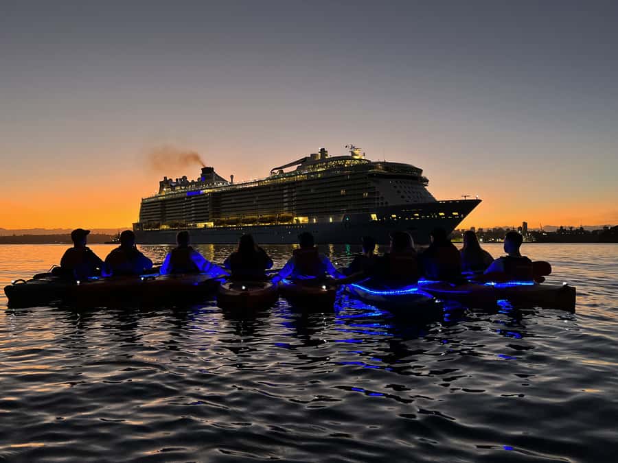 Sydney: Sunrise Kayak, Opera House & Under Harbour Bridge - Wildlife, harbor views, and a changing sky