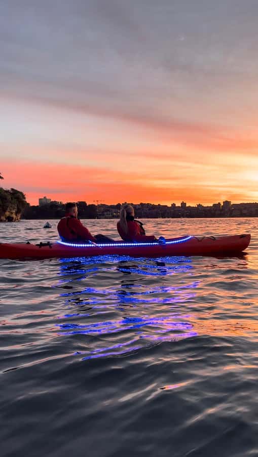 Sydney: Sunrise Kayak, Opera House & Under Harbour Bridge - Is $126 a fair price?