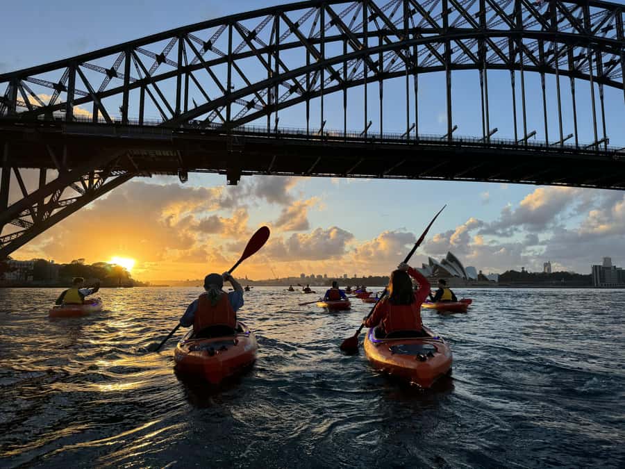 Sydney: Sunrise Kayak, Opera House & Under Harbour Bridge - Who will enjoy this most?