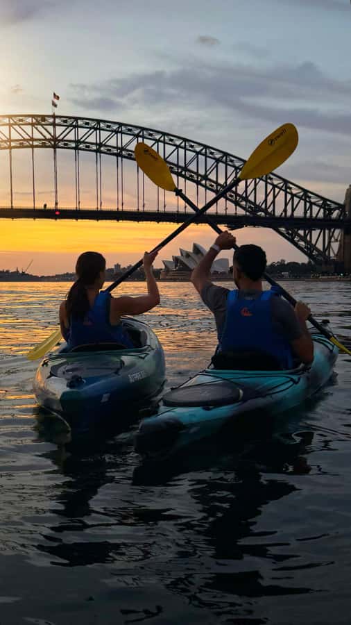 Sydney Sunrise Kayak Tour on Sydney Harbour - Five things to know before you book