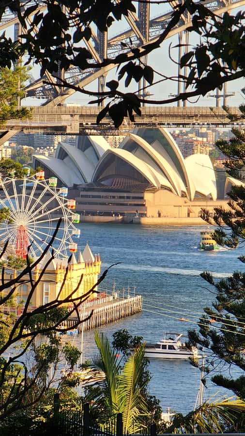 Sydney: Sunset Kayak - Opera & Harbour Bridge Tour (5p. max) - What the guide adds to the experience