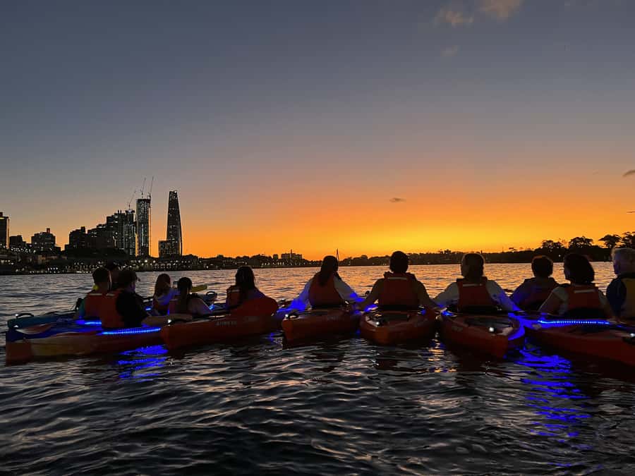 Sydney: Sunset Kayak Tour on Sydney Harbour - Starting at the Lavender Bay boat ramp