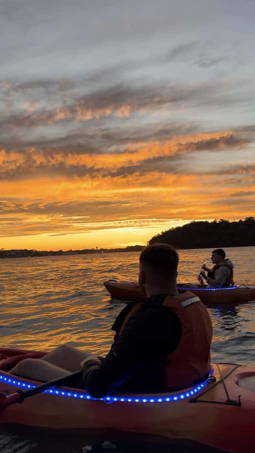 Sydney: Sunset Kayak Tour on Sydney Harbour - Who will enjoy this most?