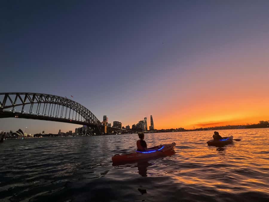 Sydney: Sunset Kayak Tour on Sydney Harbour - A gentle paddle toward Sydney’s best views