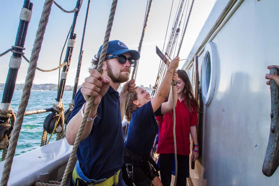 Sydney: Tall Ship Harbour Twilight Dinner Cruise - Help raise the sails or simply enjoy the ride