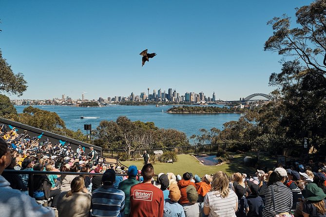 Sydney Taronga Zoo General Entry Ticket - The bird presentation is a major reason to time your visit