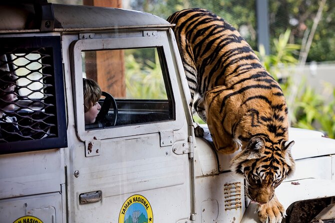 Sydney Taronga Zoo General Entry Ticket - What the zoo does well, and where it can disappoint