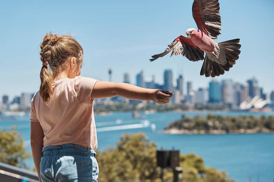 Sydney: Taronga Zoo Ticket with Return Ferry - Booking details that matter