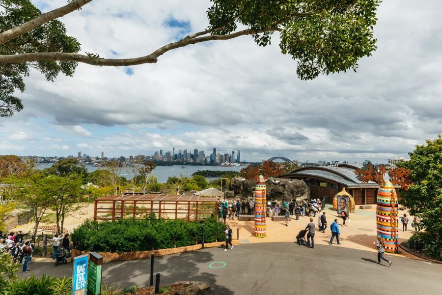 Sydney: Taronga Zoo Tickets - Families, solo visitors, and access needs