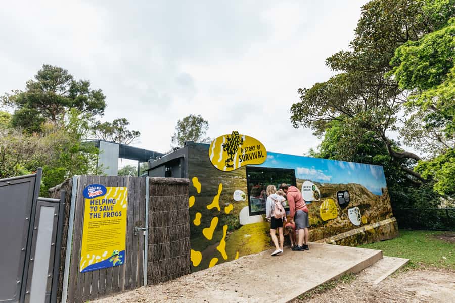 Sydney: Taronga Zoo Tickets - How long should you allow?