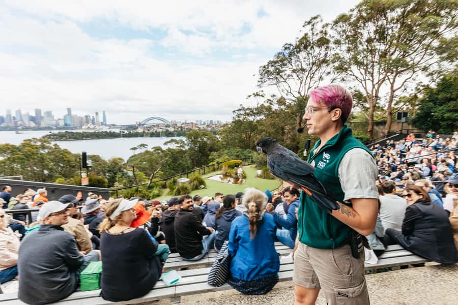 Sydney: Taronga Zoo Tickets - Arriving by ferry, bus, or car