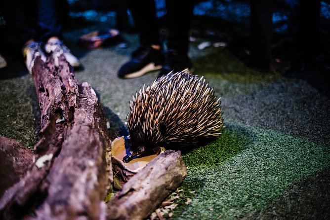 Sydney Taronga Zoo Wild Australia Experience - Meeting the keeper and entering Wild Australia