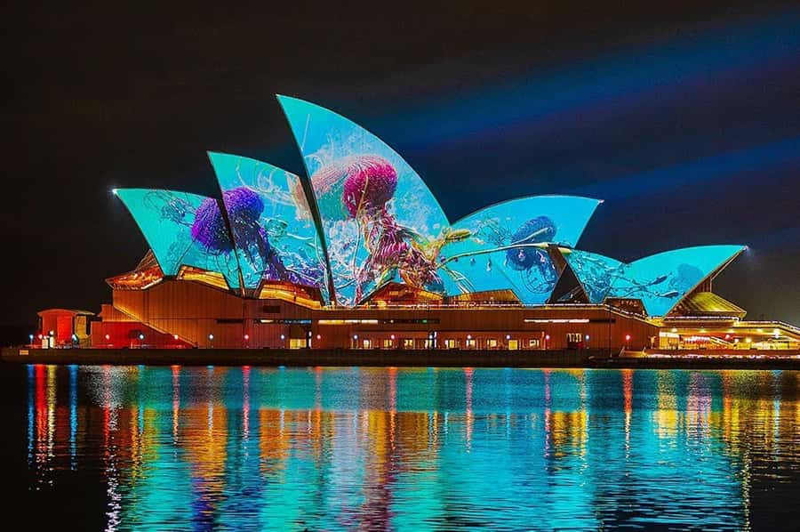 Sydney: Vivid Harbour Cruise with Canapes - Pier 2 in Walsh Bay: arrive early and stay alert