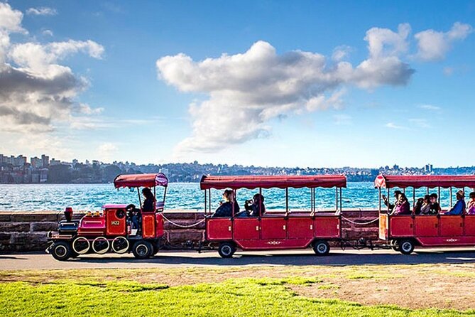 Sydney: Whale Watching Adventure Cruise - Weather, seasickness, and planning your day