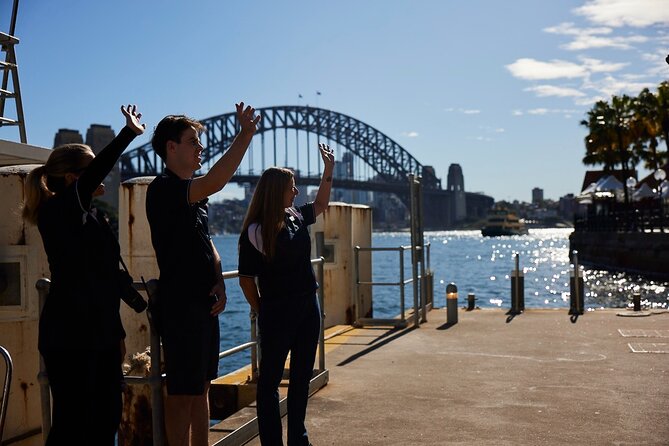 Sydney Whale-Watching Cruise Including Lunch or Breakfast - Comfort, space, and weather limits
