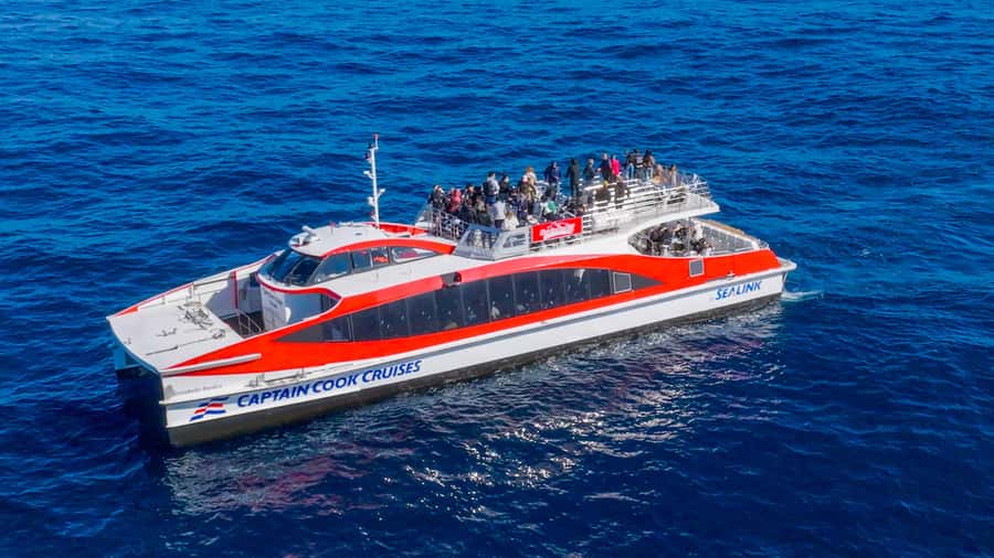 Sydney: Whale Watching & Wildlife Cruise - Who will enjoy this cruise most