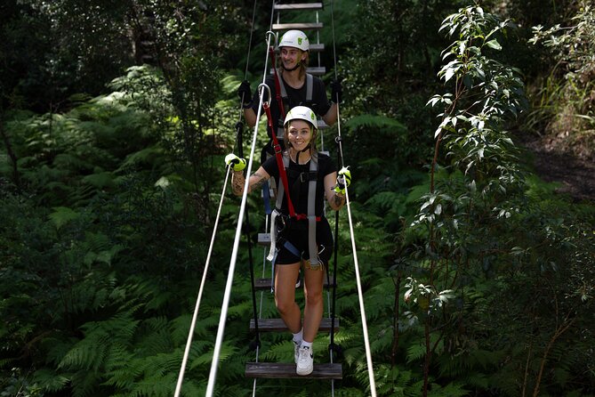 Tamborine Mountain: TreeTop Challenge Adventure Park - Key points to know before you climb