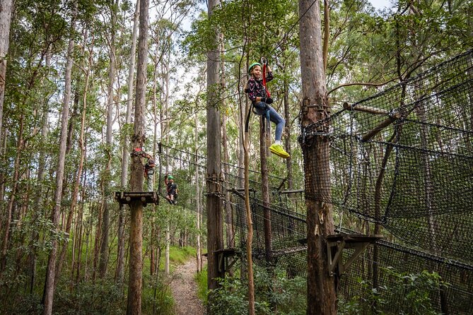 Tamborine Mountain: TreeTop Challenge Adventure Park - Starting with four easier courses