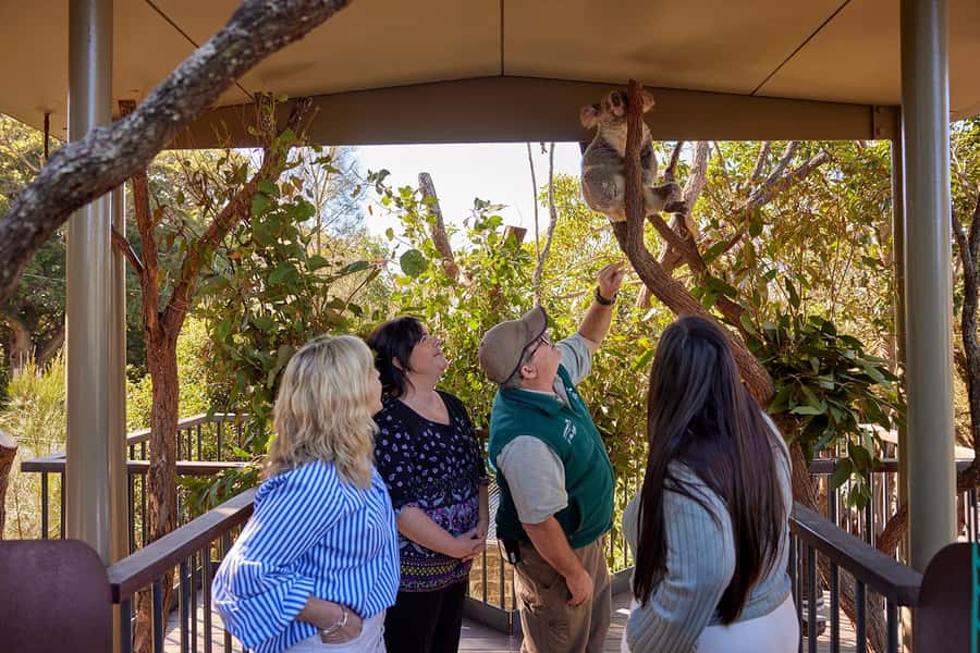 Taronga Zoo Sydney Wild Australia Experience - Finding the platypus and lesser-known marsupials