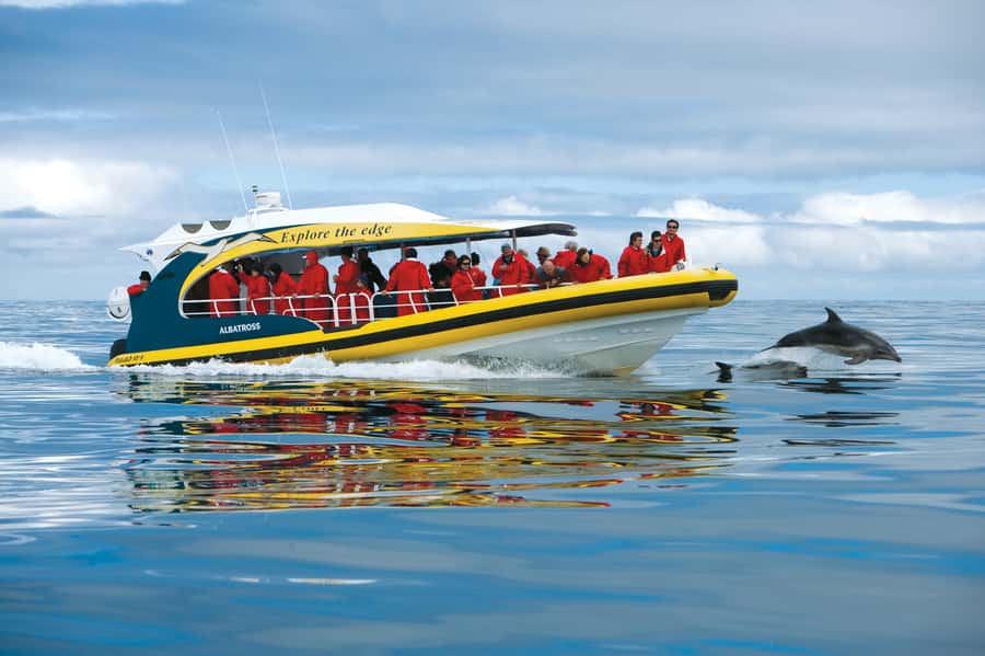 Tasman Peninsula Day Trip with Cruise & Devils from Hobart - Why the Tasman Peninsula is worth a full day