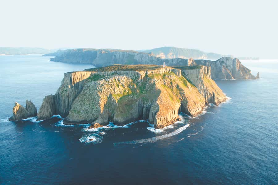 Tasman Peninsula Tour, Cruise & Port Arthur Historic Site - Wildlife sightings and the rules of luck