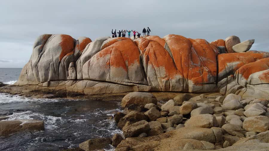 Tasmania: 7-Day West to East Tour - Key points to know before booking