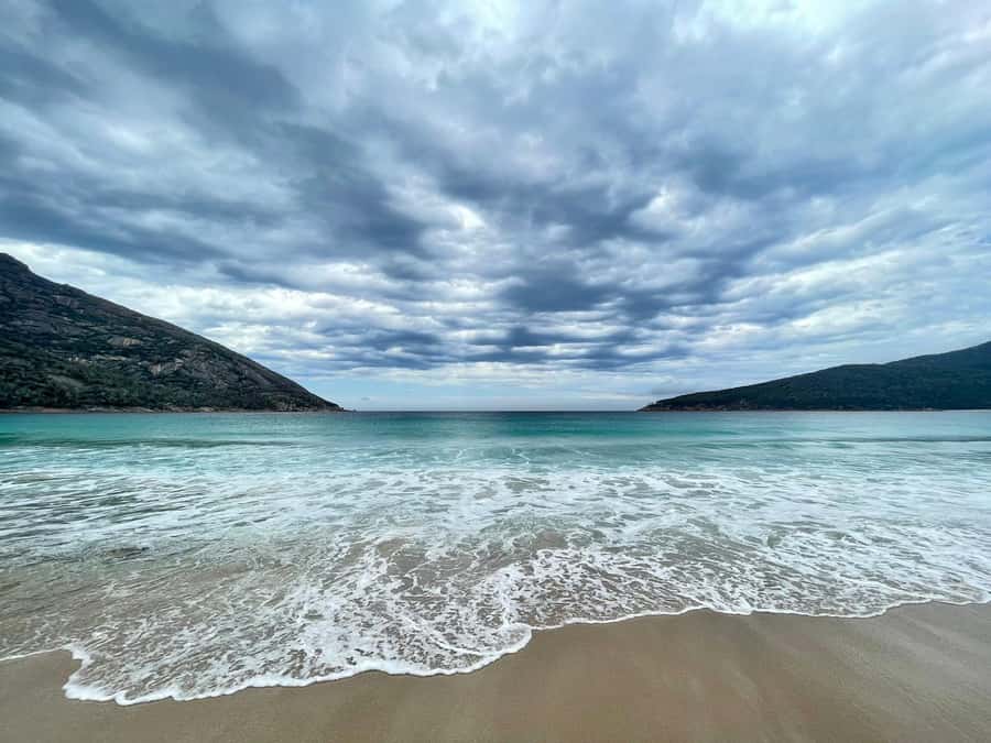 Tasmania: 7-Day West to East Tour - Day two: rainforest, dunes, and the rough west coast