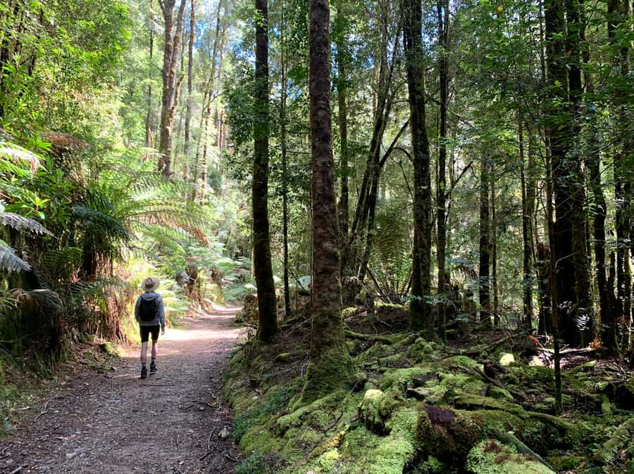 Tasmania: 7-Day West to East Tour - Day seven: Port Arthur and Crescent Bay