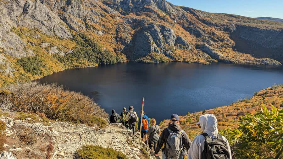 Tasmania: Wilderness and Wildlife Guided 6-Day Tour - At a glance: five useful reasons to consider this tour