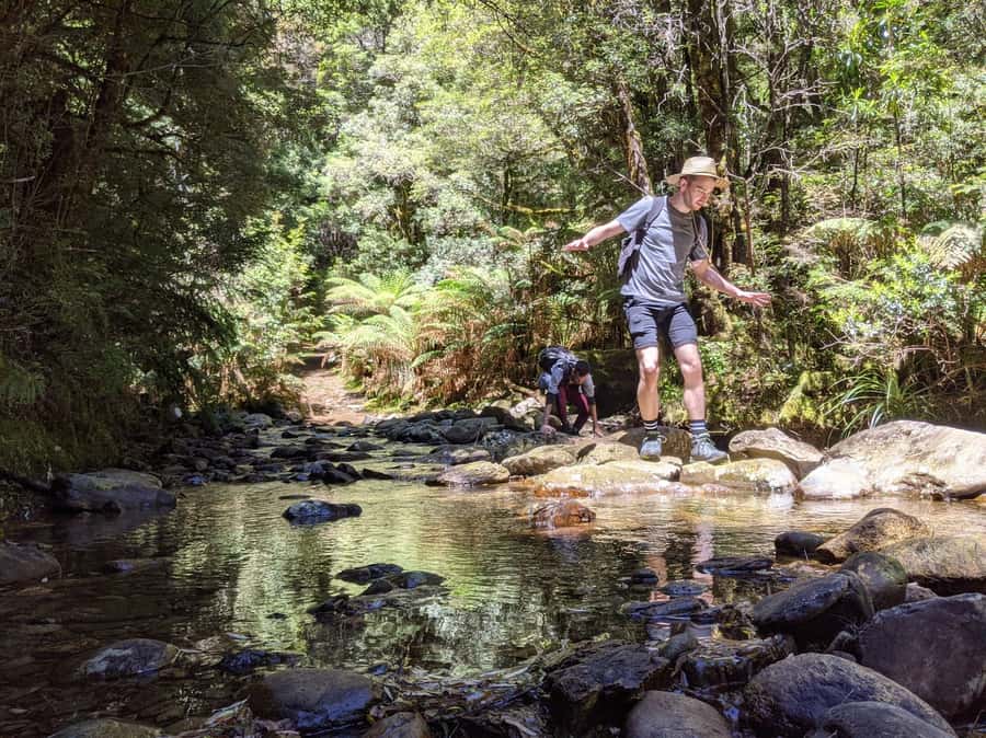 Tasmania: Wilderness and Wildlife Guided 6-Day Tour - Day four: Cataract Gorge, St Helens, and the Bay of Fires