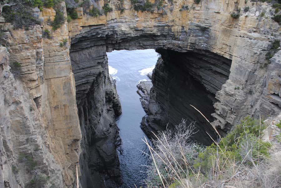 Tasmania: Wilderness and Wildlife Guided 6-Day Tour - Walking levels and daily comfort