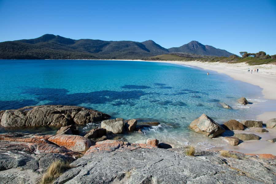 Tasmania: Wilderness and Wildlife Guided 6-Day Tour - Day one: Russell Falls, Lake St Clair, and Strahan