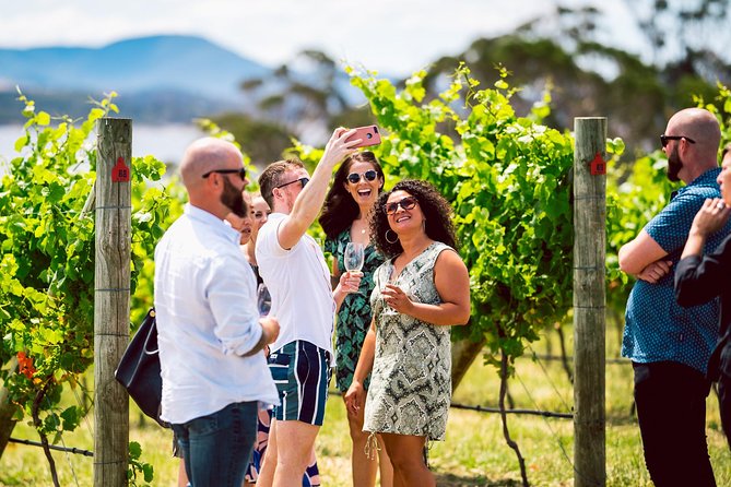 Tasmanian Premium Wine Tour with Tasmanian Cheese Platter - The Tasmanian cheese platter, and the missing lunch