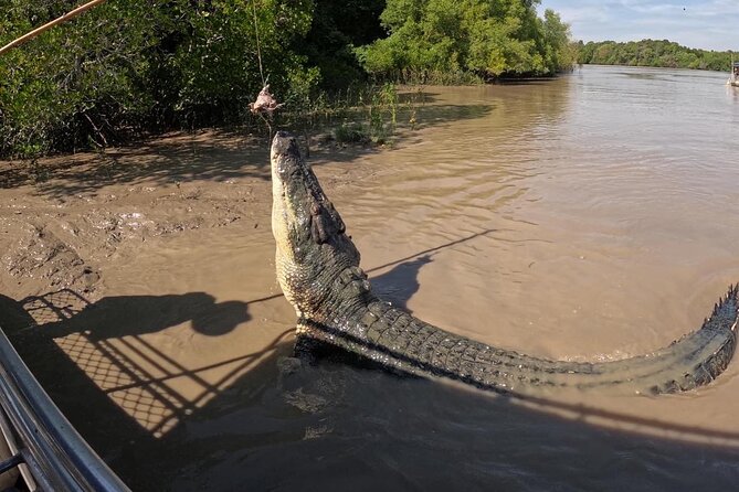 The Croc Bus to the Famous Jumping Crocodile Cruise - Guides make the difference