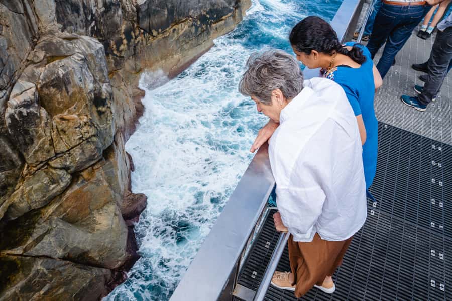 The Gap & Natural Wonders Tour - Why this coastal outing works