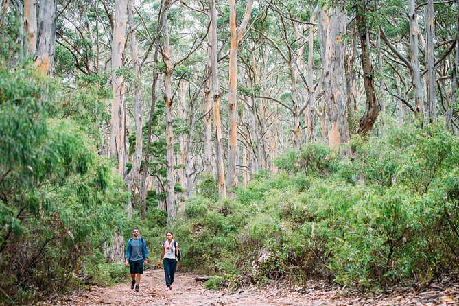 The Perth Mint Gold Tour - What the one-hour schedule feels like