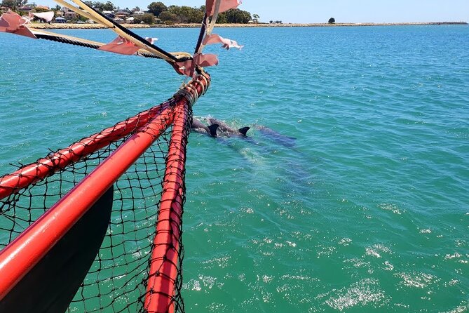 The Pirate Cruise in Mandurah on Viator - The 45-Minute Canal Route