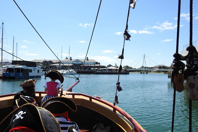 The Pirate Cruise in Mandurah on Viator - Looking for Mandurah’s Bottlenose Dolphins