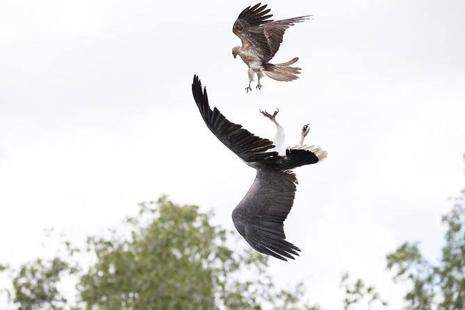 Top End Safari Camp Day Tour - Ten minutes above the floodplains