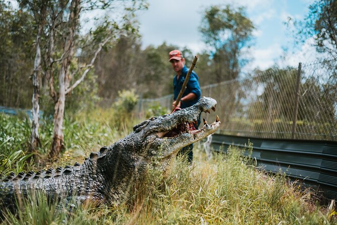 Top End Safari Camp Day Tour - Who should book this tour?