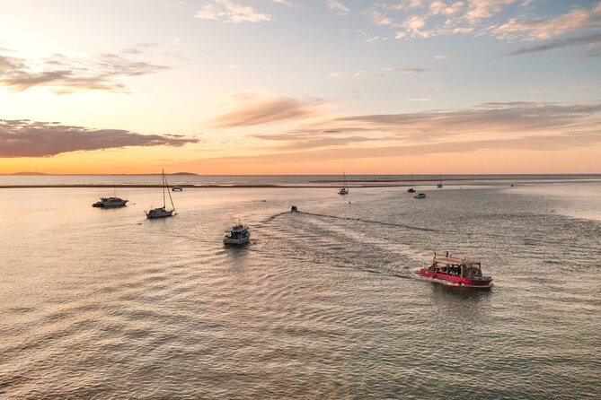Town of 1770 Afternoon Cruise - The quick facts worth knowing